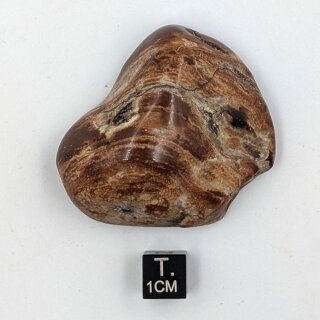 Sternachat Trommelstein ca. 40,1-80,0g